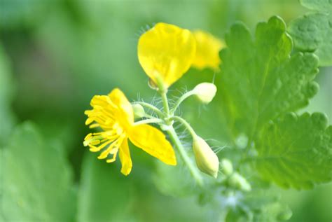 The World Will Tremble